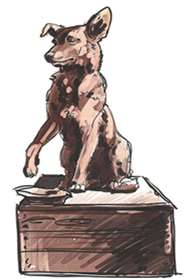 В Рязани ищут подрядчика для благоустройства улицы Павлова